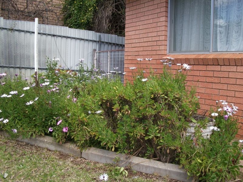 3 Cherry Court, Young NSW 2594