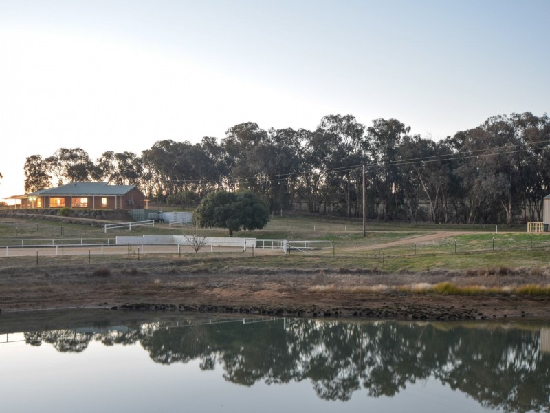 42 Batinichs Road, Young NSW 2594