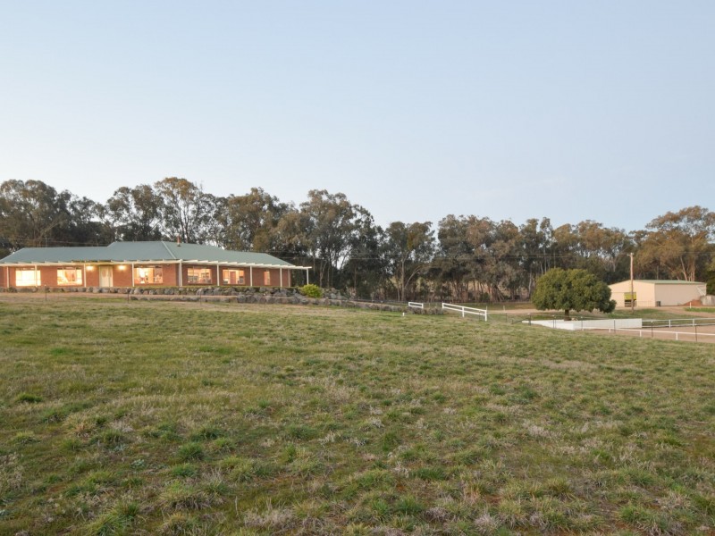 42 Batinichs Road, Young NSW 2594