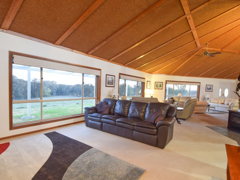 42 Batinichs Road, Young NSW 2594