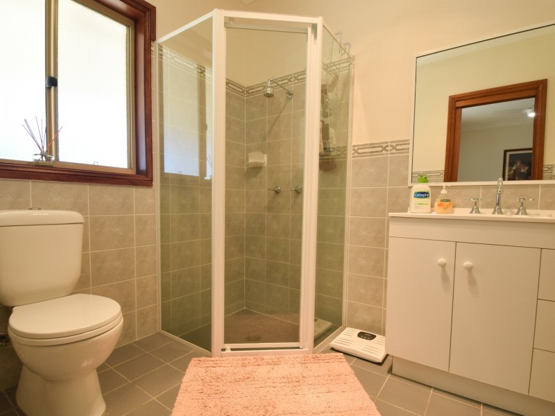 42 Batinichs Road, Young NSW 2594