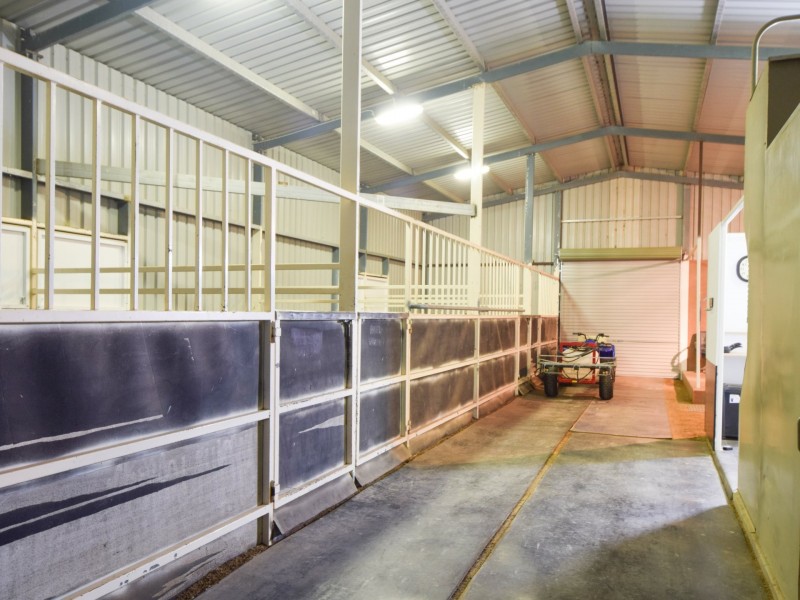 42 Batinichs Road, Young NSW 2594