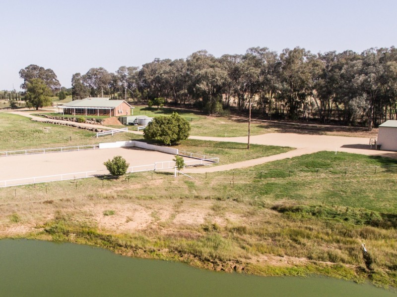 42 Batinichs Road, Young NSW 2594