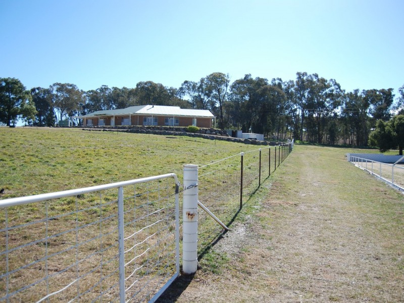 42 Batinichs Road, Young NSW 2594