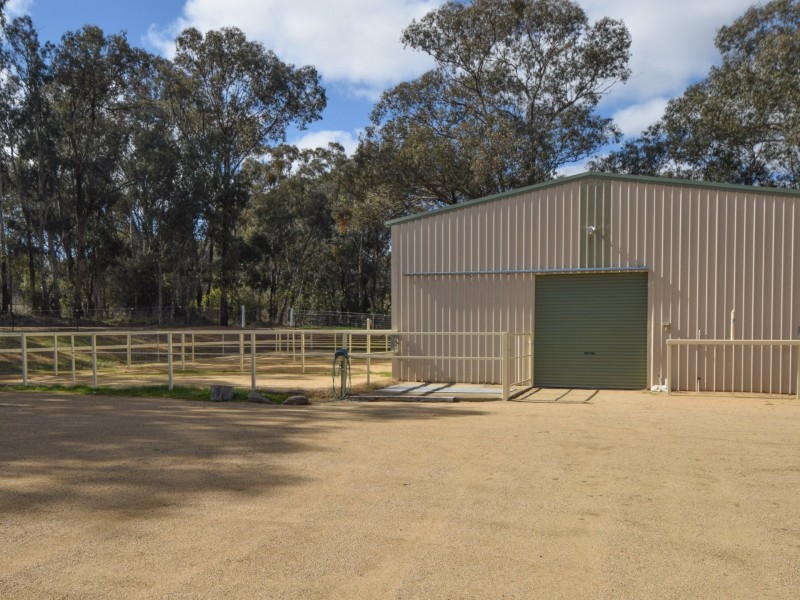 42 Batinichs Road, Young NSW 2594