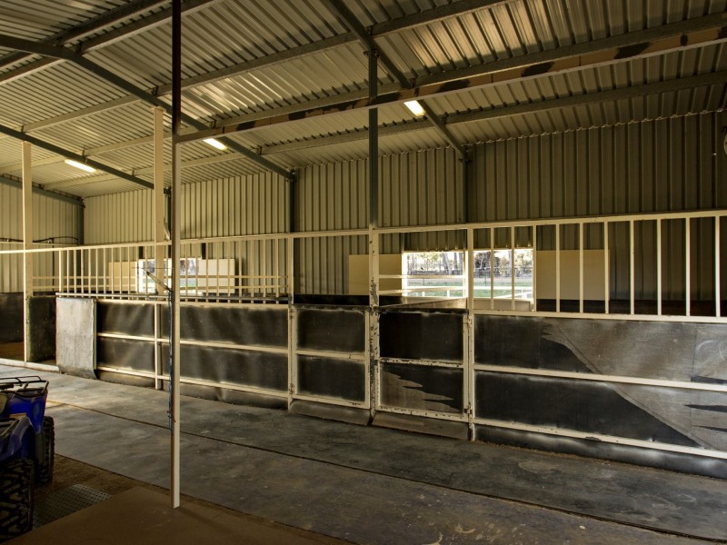 42 Batinichs Road, Young NSW 2594