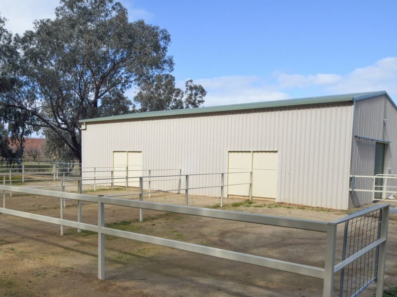 42 Batinichs Road, Young NSW 2594