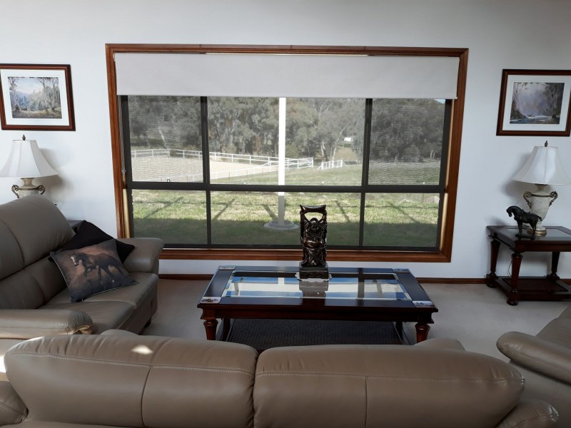 42 Batinichs Road, Young NSW 2594