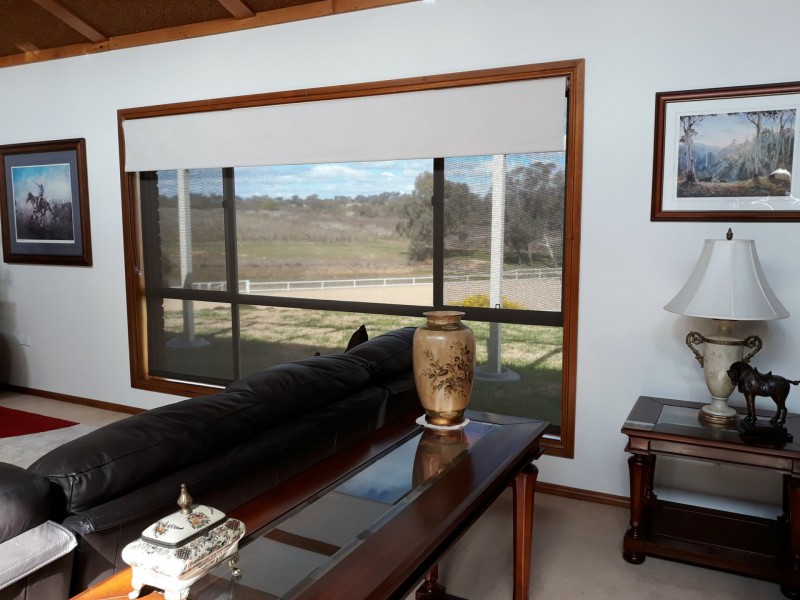 42 Batinichs Road, Young NSW 2594