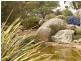 3 Simmon Road, Harden NSW 2587
