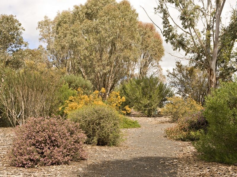 3 Simmon Road, Harden NSW 2587
