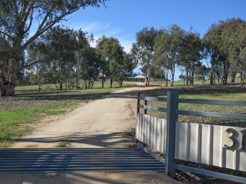 31 Saines Road, Young NSW 2594