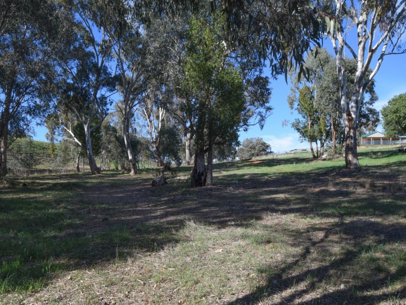 31 Saines Road, Young NSW 2594