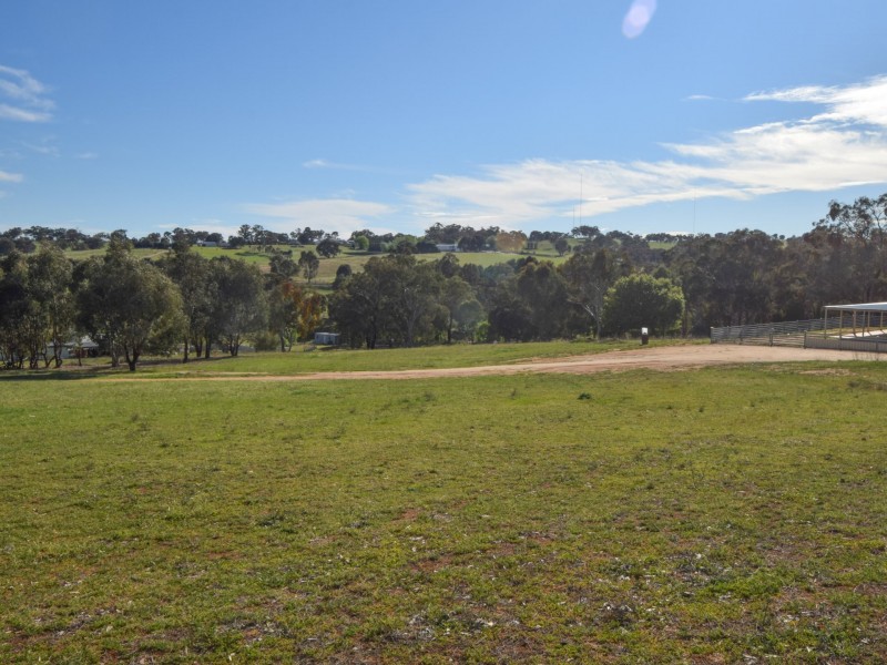 31 Saines Road, Young NSW 2594