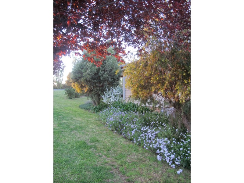 45 Fontenoy Street, Young NSW 2594