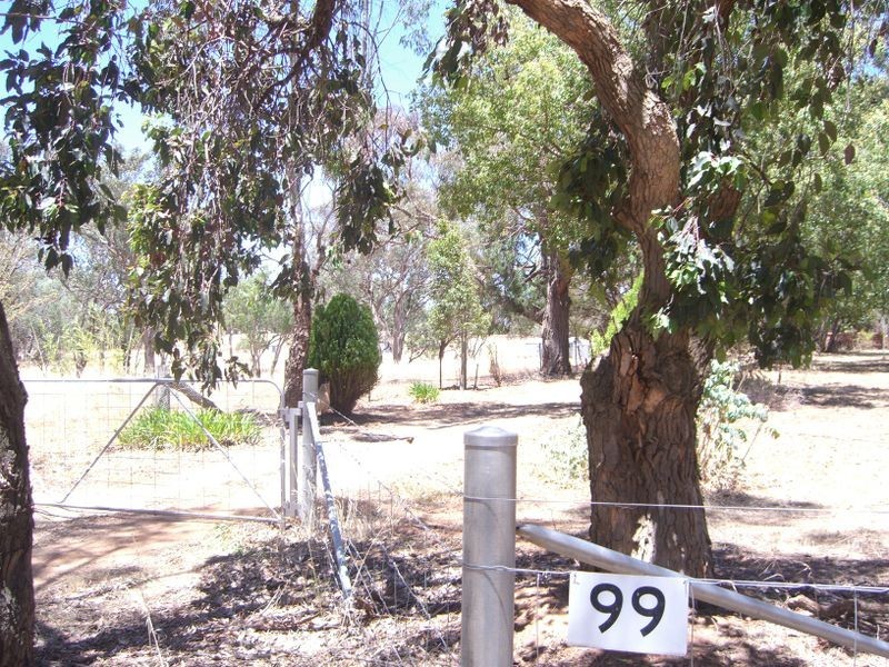 99 Stanley Park Road, Young NSW 2594