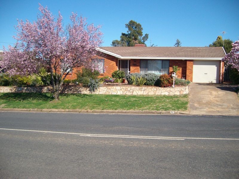 72 Fontenoy Street, Young NSW 2594