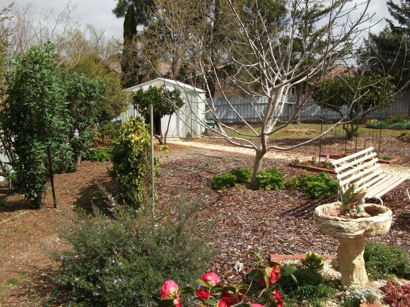 72 Fontenoy Street, Young NSW 2594