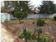 72 Fontenoy Street, Young NSW 2594