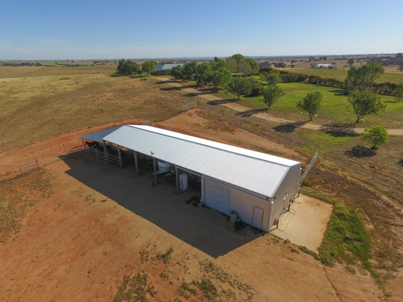 PEAKVIEW 1 Moppity Road, Young NSW 2594