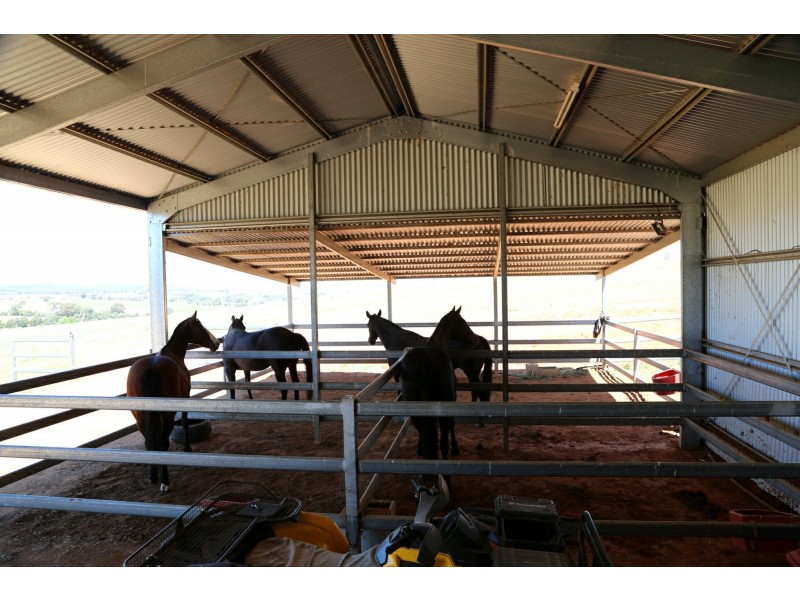 PEAKVIEW 1 Moppity Road, Young NSW 2594