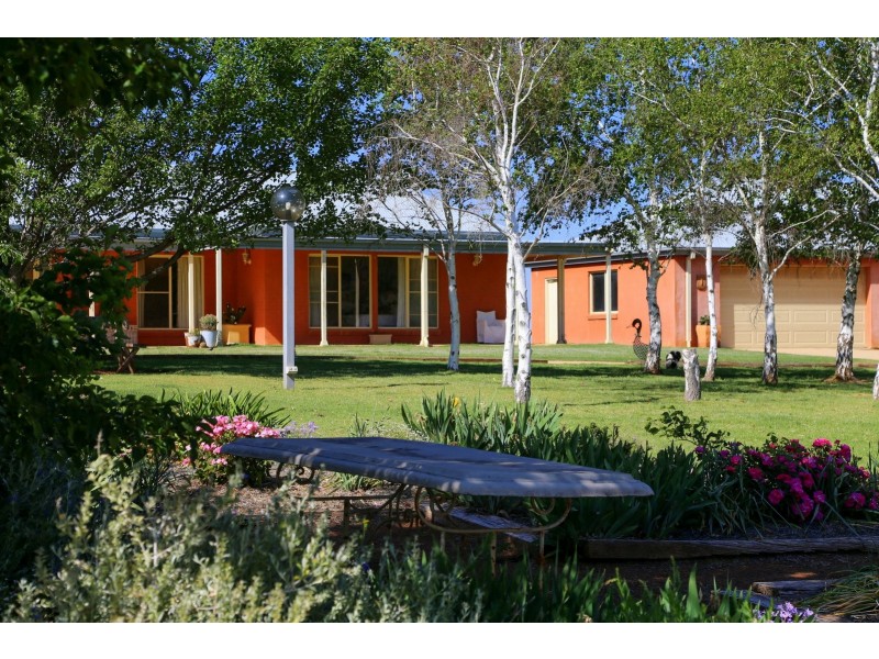 PEAKVIEW 1 Moppity Road, Young NSW 2594