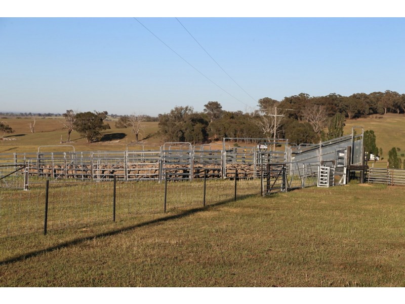 PEAKVIEW 1 Moppity Road, Young NSW 2594