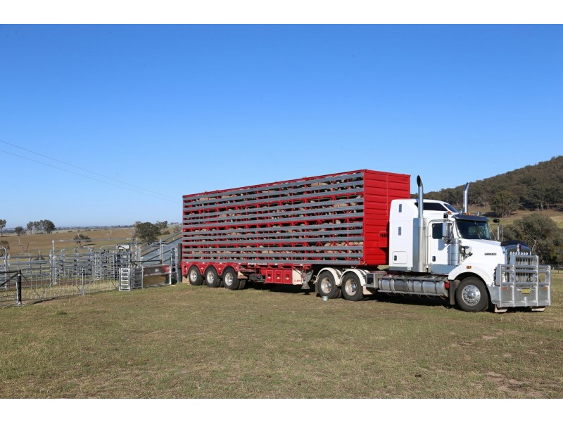 PEAKVIEW 1 Moppity Road, Young NSW 2594