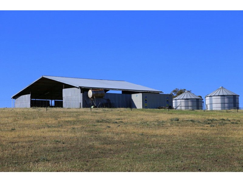 PEAKVIEW 1 Moppity Road, Young NSW 2594