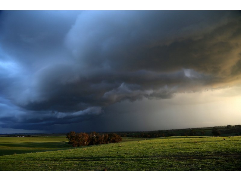 PEAKVIEW 1 Moppity Road, Young NSW 2594