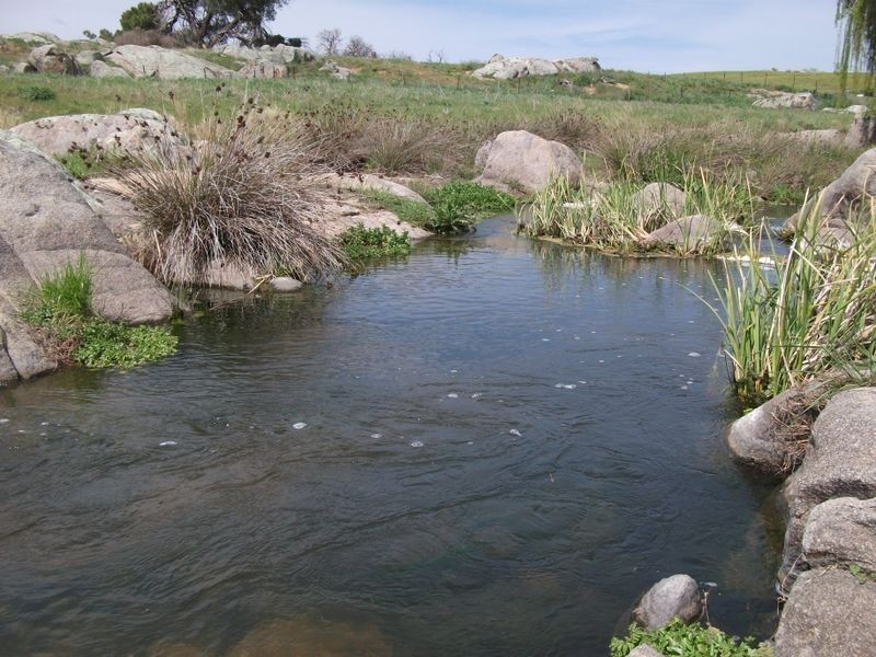 ZENITH Araluen Rd Murrumburrah, Young NSW 2594