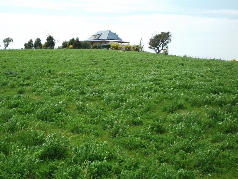 ZENITH Araluen Rd Murrumburrah, Young NSW 2594