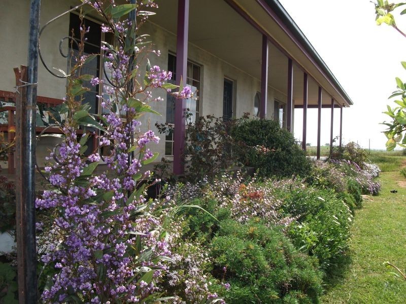 ZENITH Araluen Rd Murrumburrah, Harden NSW 2587