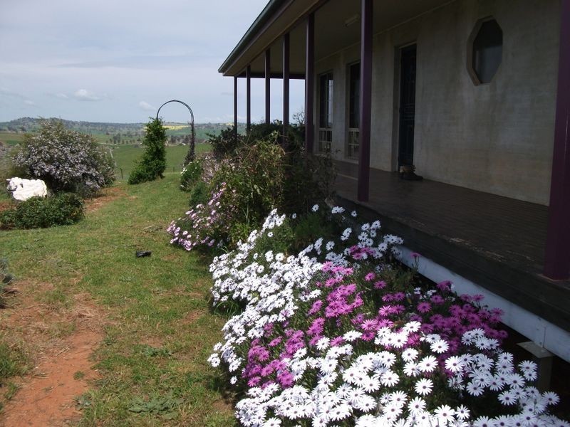 ZENITH Araluen Rd Murrumburrah, Harden NSW 2587