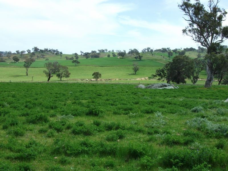 ZENITH Araluen Rd Murrumburrah, Harden NSW 2587