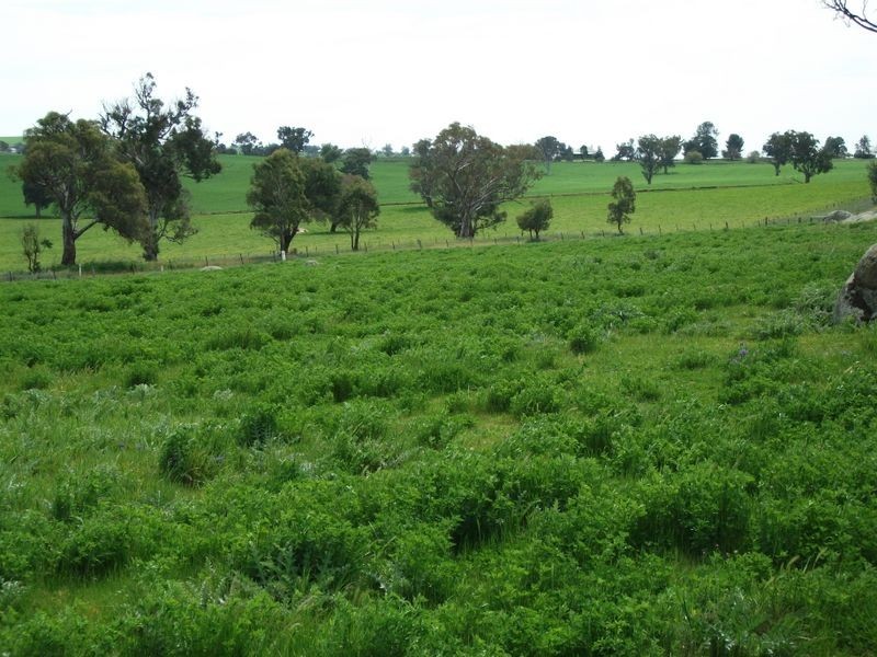 ZENITH Araluen Rd Murrumburrah, Harden NSW 2587