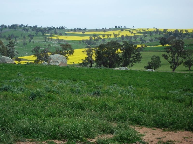 ZENITH Araluen Rd Murrumburrah, Harden NSW 2587