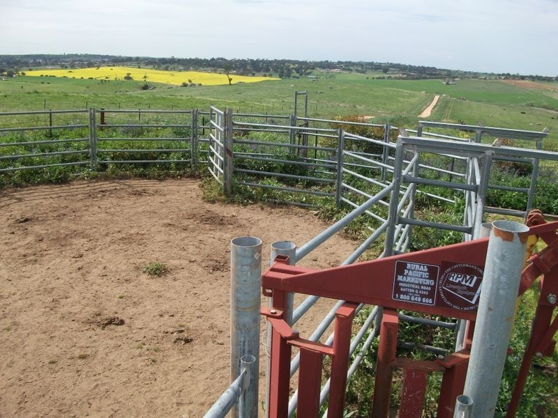 ZENITH Araluen Rd Murrumburrah, Harden NSW 2587