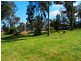 37 Elizabeth Street, Young NSW 2594