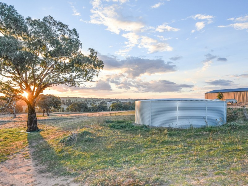 109 Dananbilla Drive, Young NSW 2594