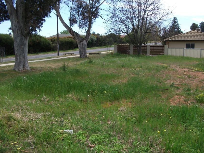 80 Campbell Street, Young NSW 2594