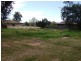 80 Campbell Street, Young NSW 2594