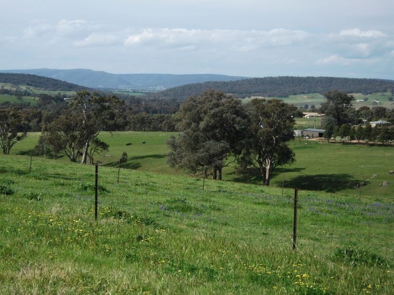3944 Murringo Rd, Young NSW 2594