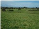 3944 Murringo Rd, Young NSW 2594