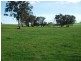 3944 Murringo Rd, Young NSW 2594
