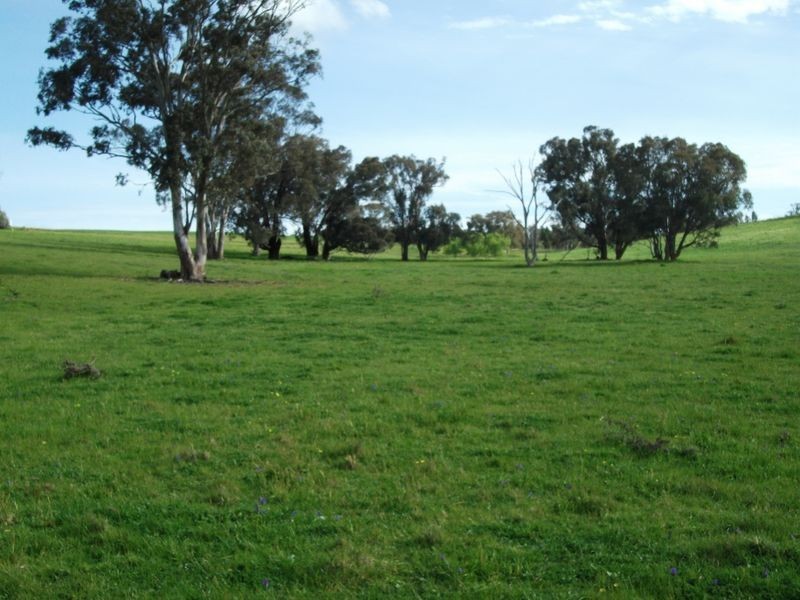 3944 Murringo Rd, Young NSW 2594