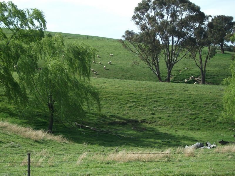 3944 Murringo Rd, Young NSW 2594