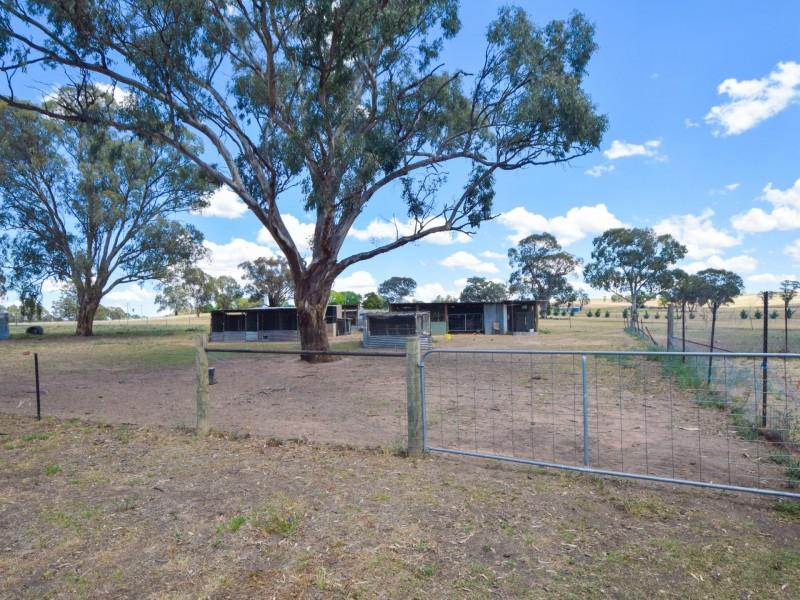81 Wambanumba Drive, Young NSW 2594