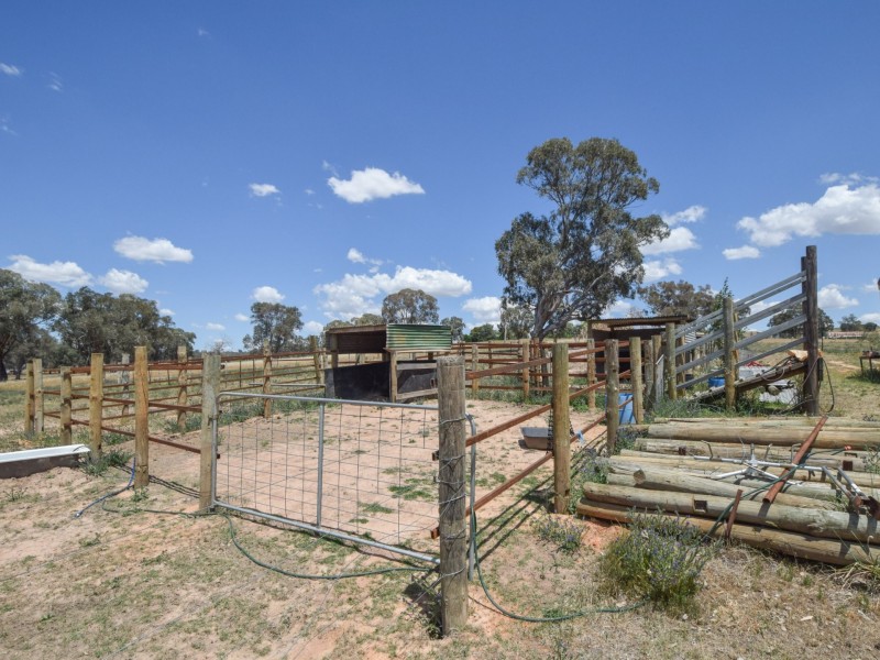 81 Wambanumba Drive, Young NSW 2594