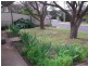3 Emily Street, Young NSW 2594
